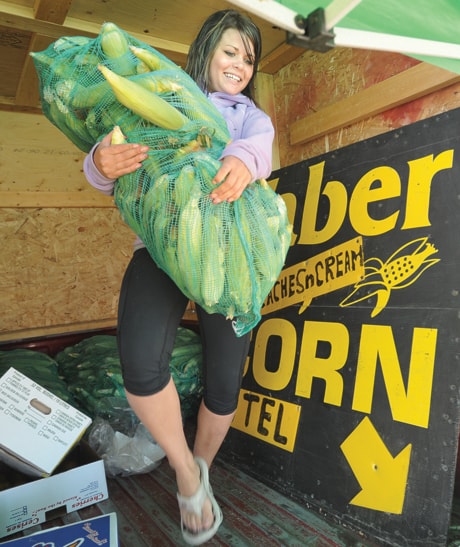 Taber Corn Returns 100827jer