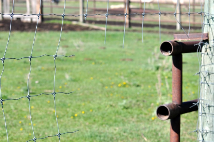 Photo contributed
One of the 11 holes cut into fences at GuZoo on the weekend.