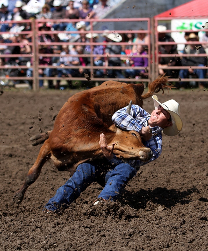 daines-rodeo-web