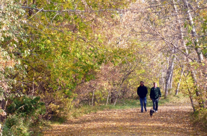 fall_colours_thumbnail