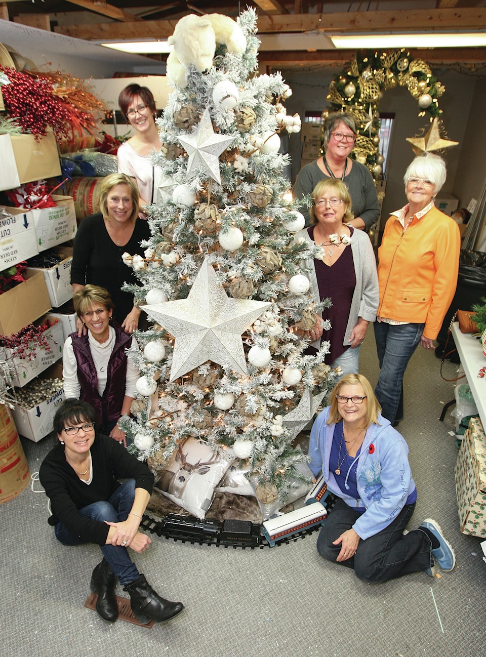 The 23rdannual Festival of Trees kicks off in Red Deer next week Red Deer Advocate