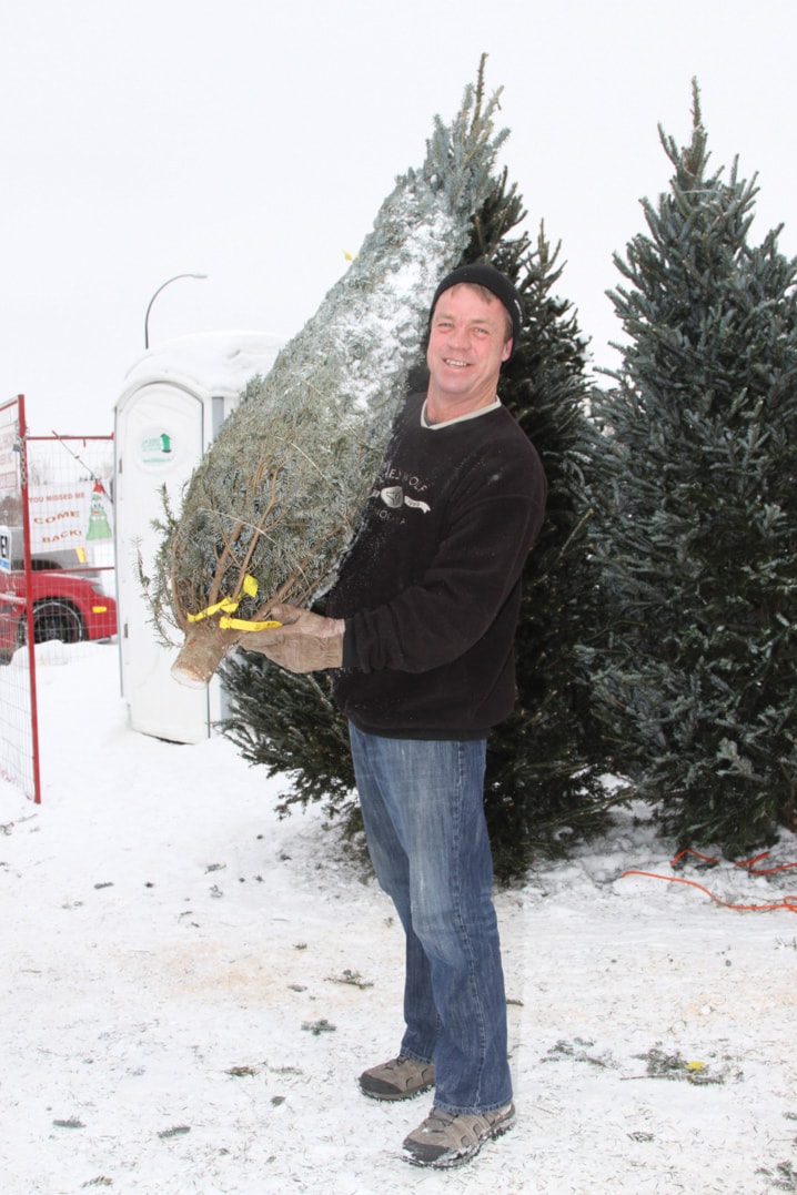is-the-real-christmas-tree-making-a-comeback-red-deer-advocate