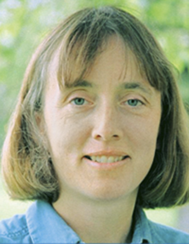 Gardening Fresh cut flowers Red Deer Advocate