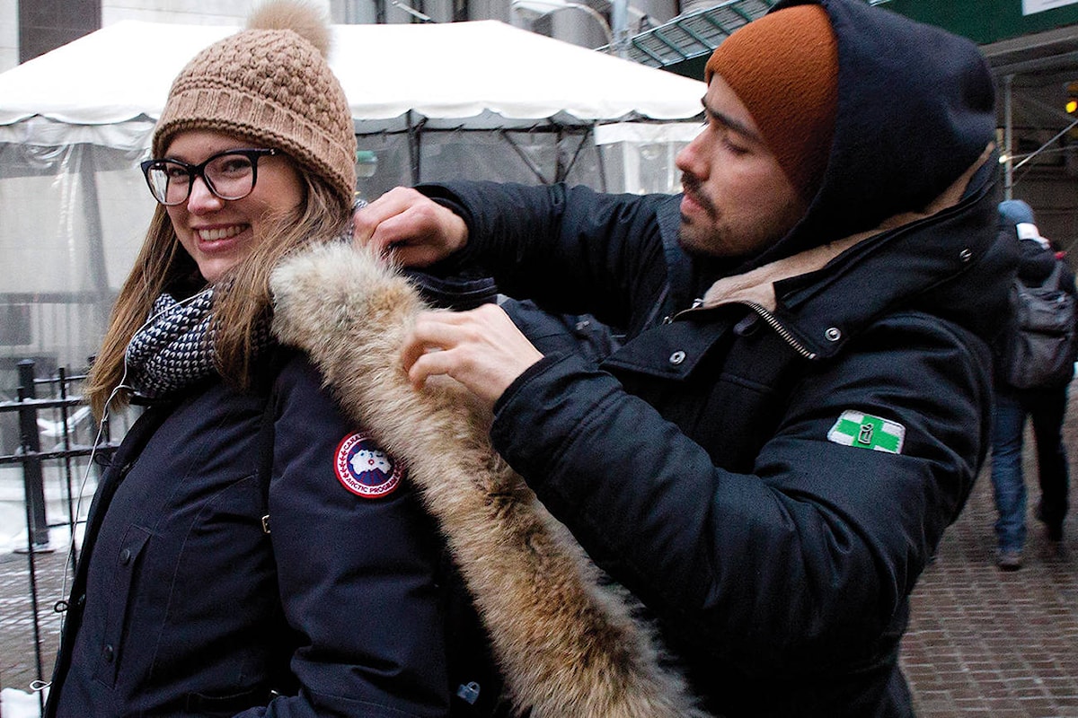 Canada goose ipo español best sale