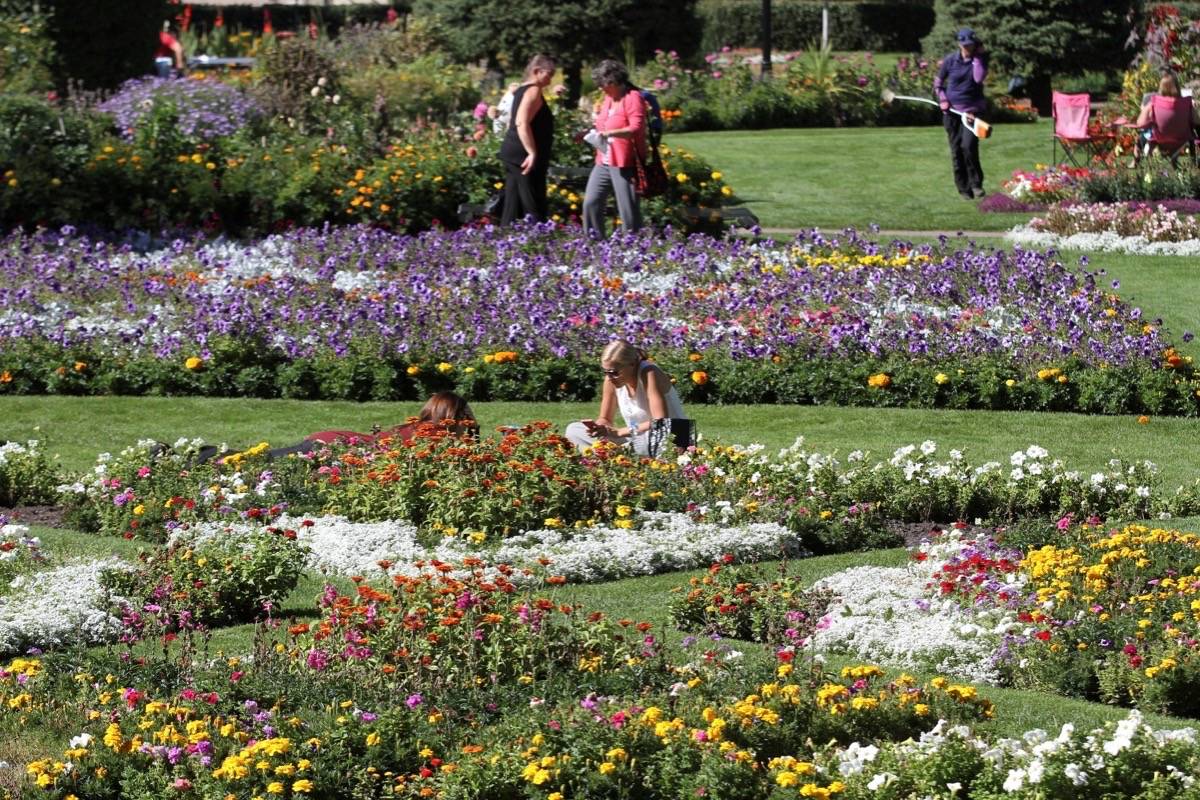 Red Deer Filipino community celebrates cultural history Red Deer Advocate