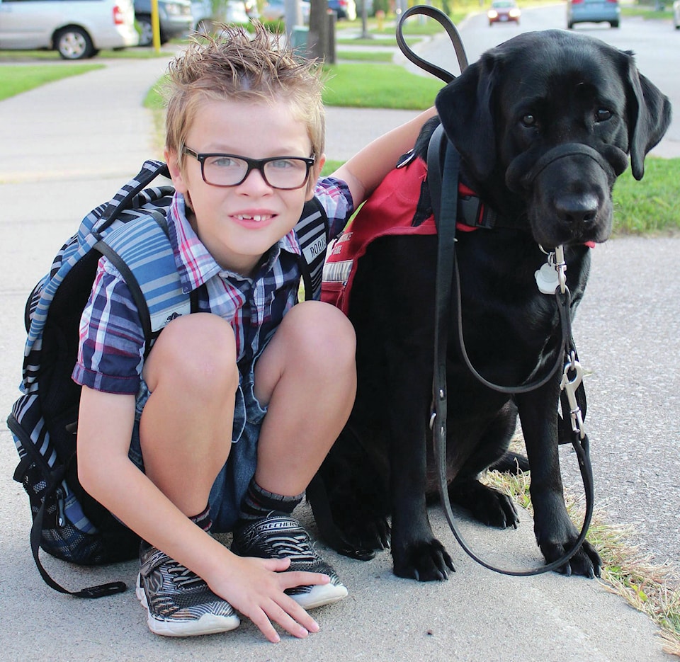 8359314_web1_170902-RDA-Canada-Service-Dog-Fight-PIC