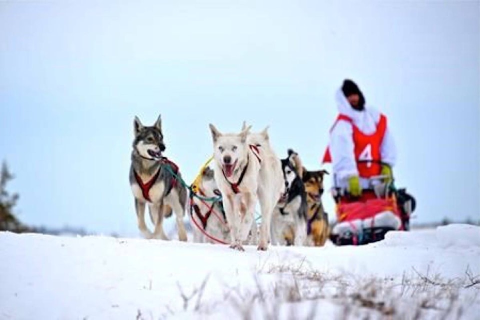 11761066_web1_180506-RDA-After-100-days-of-sledding-musher-is-closing-in-on-New-Brunswick-destination_1