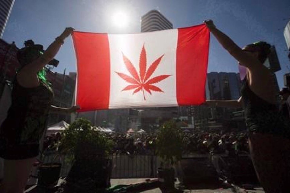12280408_web1_180612-RDA-Many-employers-not-ready-for-legal-weed-World-Cannabis-Congress-told_1