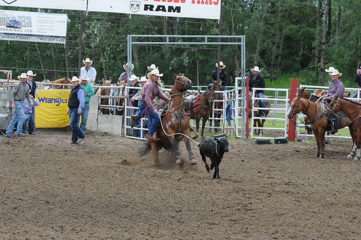 12331230_web1_180614-RDA-Daines-rodeo-2-for-web