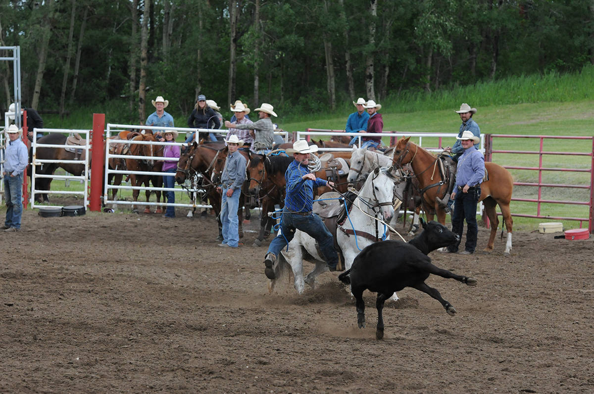12331230_web1_180614-RDA-Daines-rodeo-3-for-web