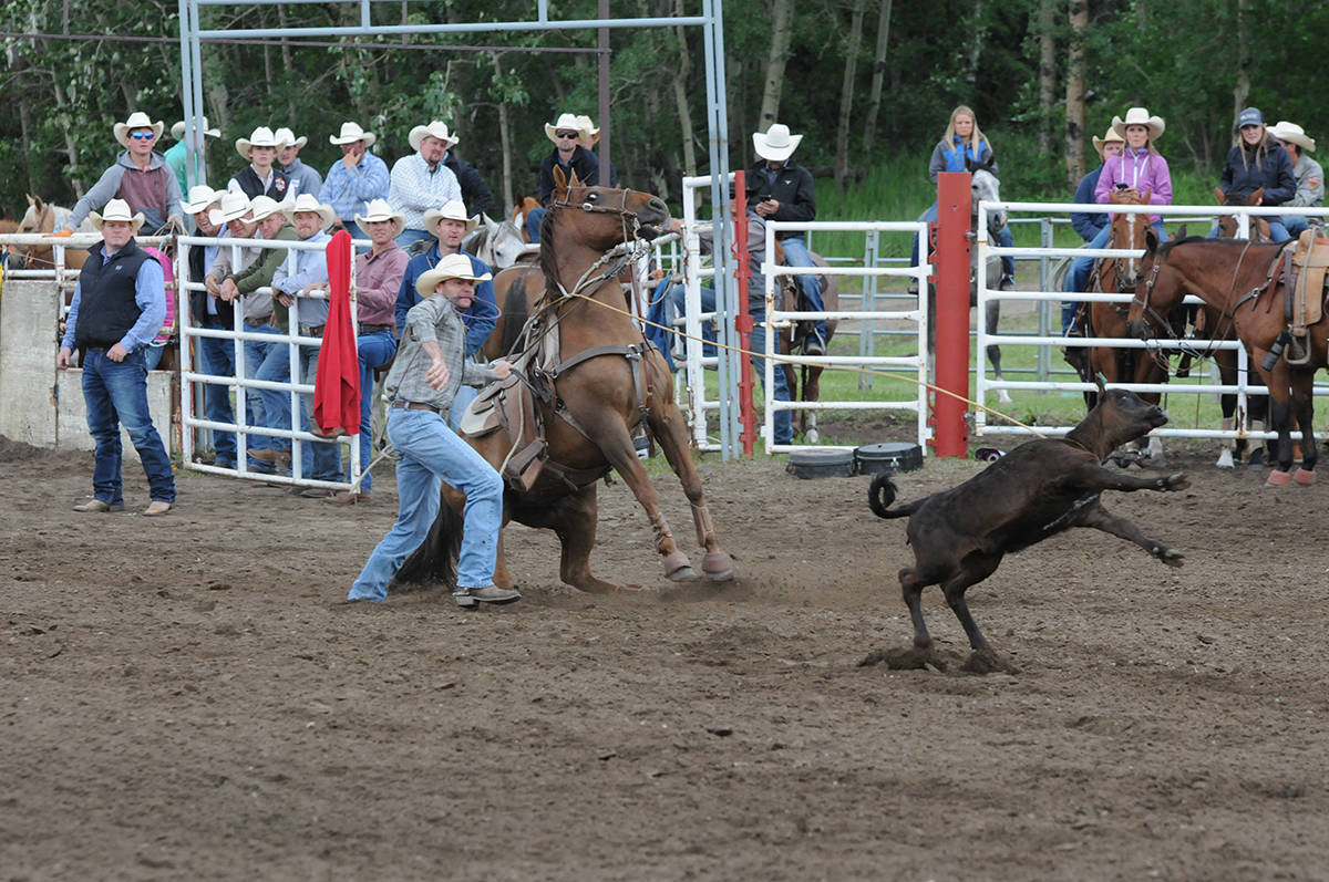 12331230_web1_180614-RDA-Daines-rodeo-4-for-web