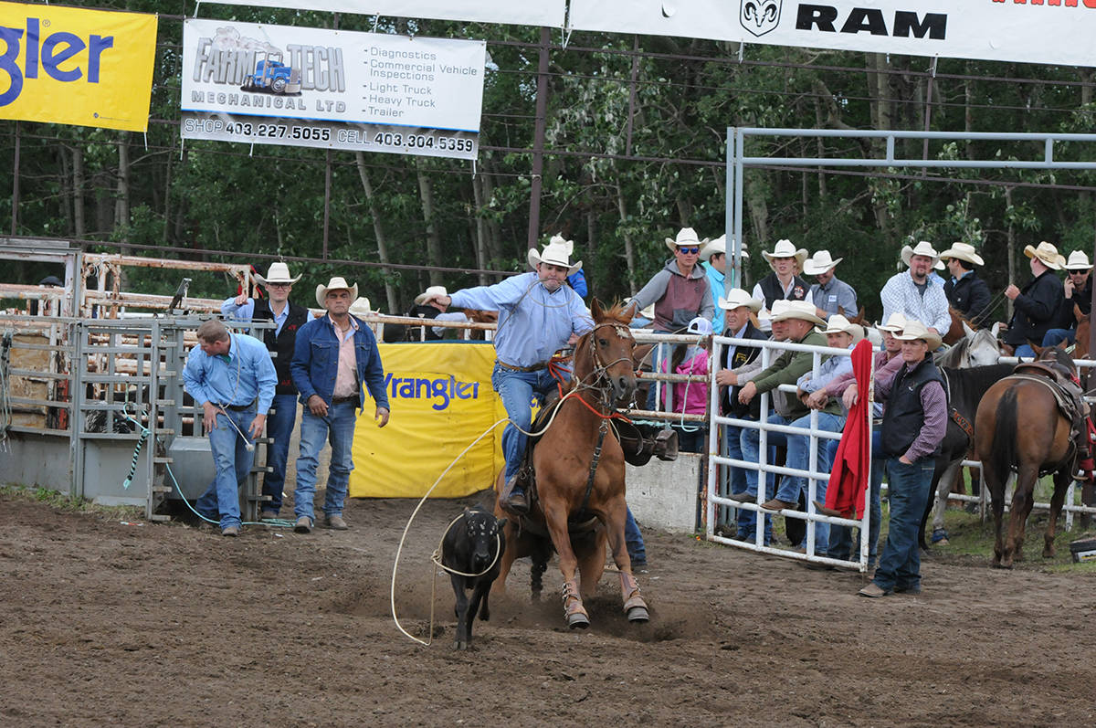12331230_web1_180614-RDA-Daines-rodeo-5-for-web