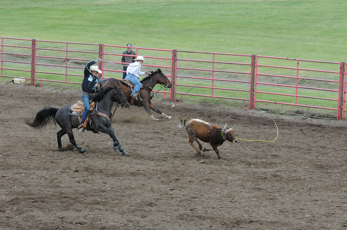 12331230_web1_180614-RDA-Daines-rodeo-9-for-web