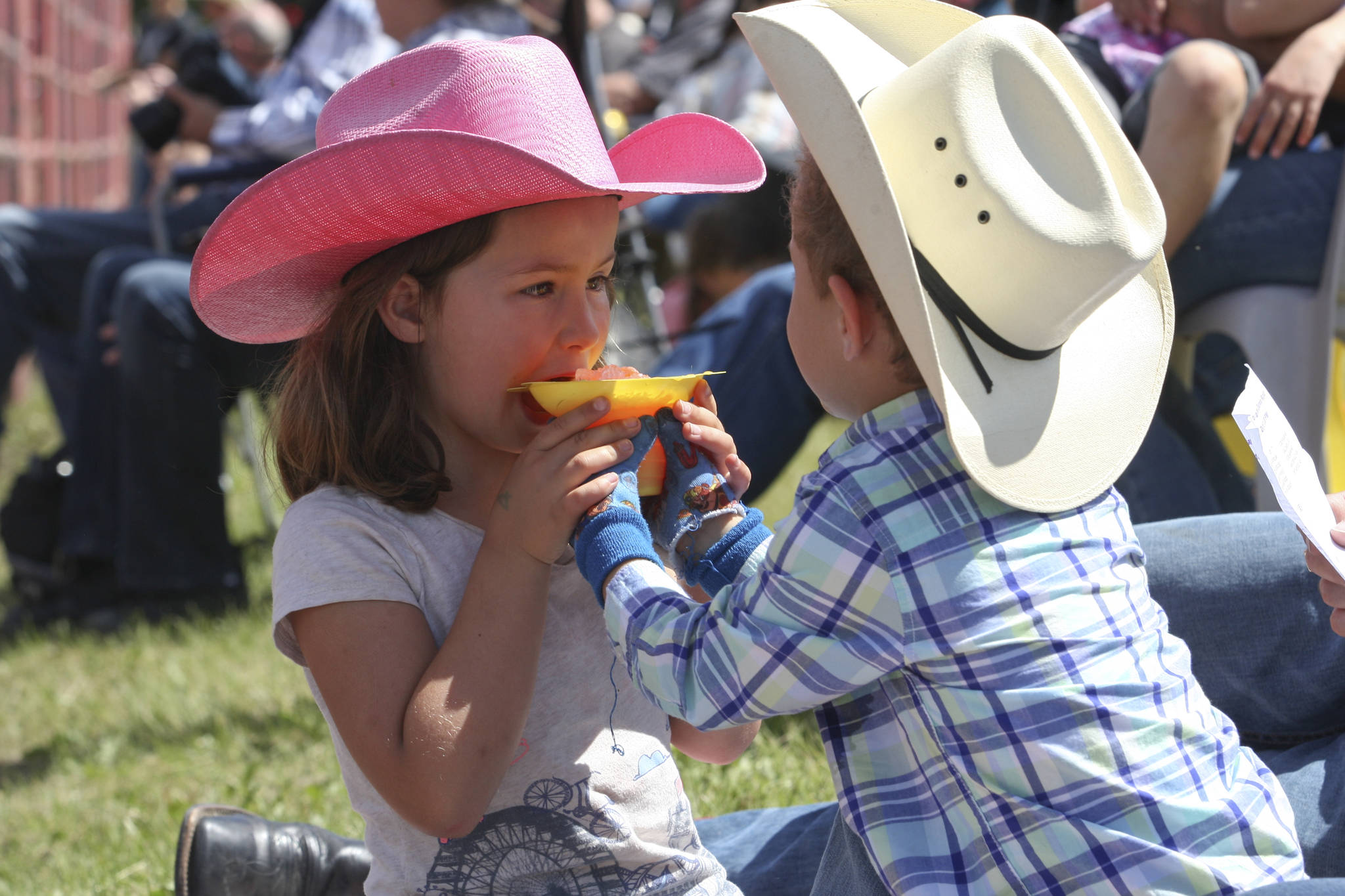 12356611_web1_180617-RDA-Innisfail-Rodeo-5