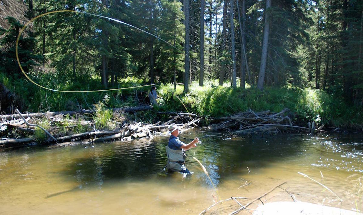 “Piece of paradise” purchased by ACA near Caroline to help preserve