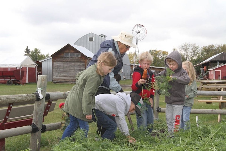 13628448_web1_180919-RDA-students-at-sunnybrook-farm_1