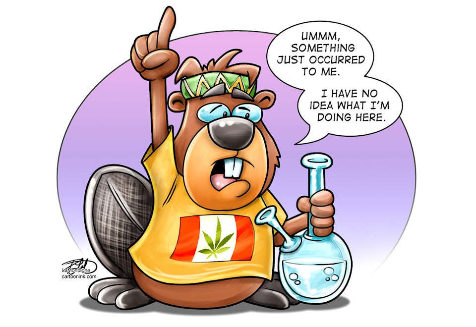 14050013_web1_Toonink6495_PotQuestion-choriz-