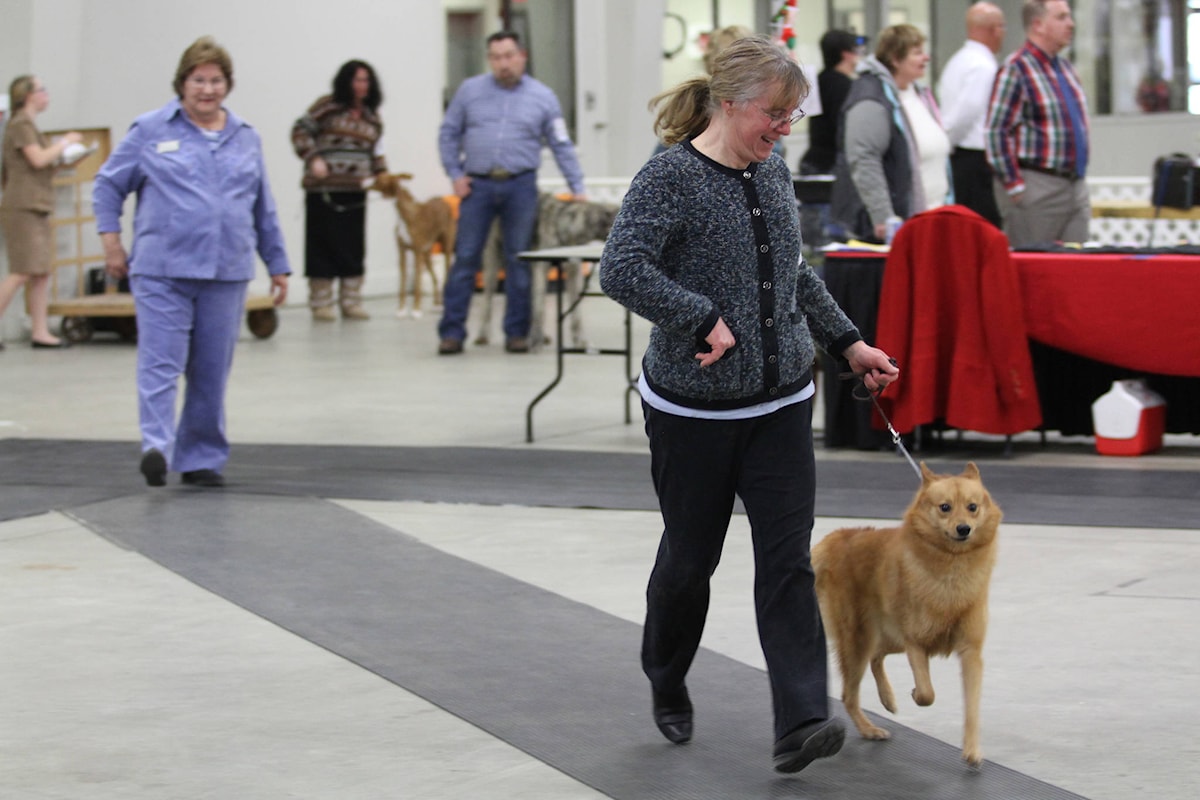 WATCH Red Deer and District Kennel Club Dog Show at Westerner Park