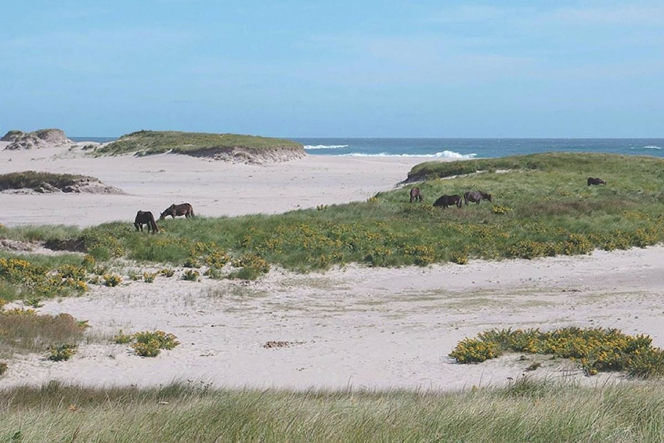 14791917_web1_181213-RDA-M-181214-RDA-sable-island