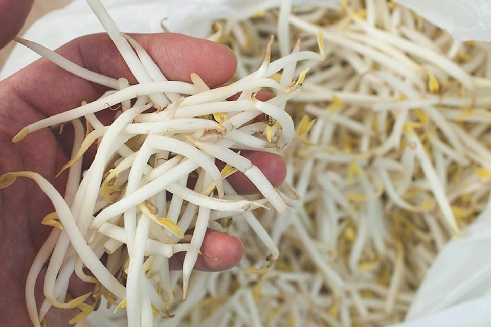 14992418_web1_190102-RDA-M-190103-RDA-bean-sprouts