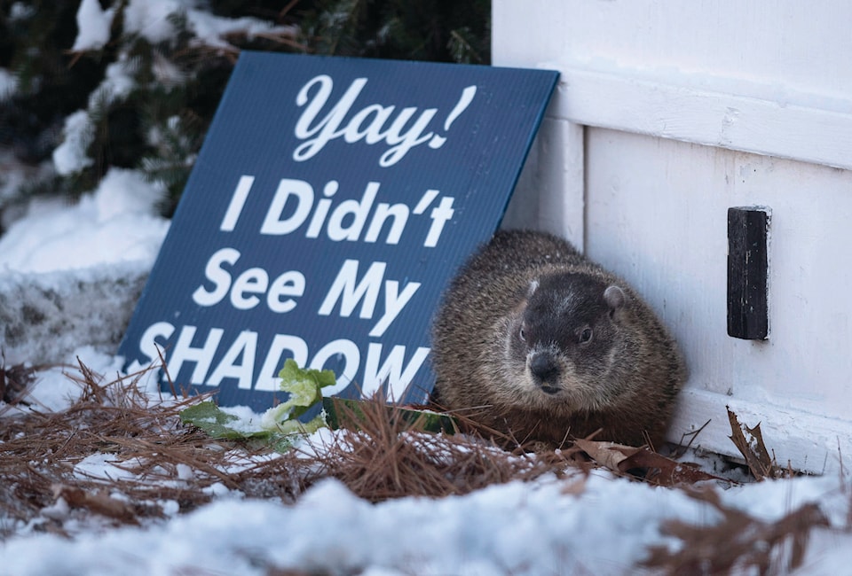 15390681_web1_170203-RDA-Canada-Groundhog-Day-Canada-PIC