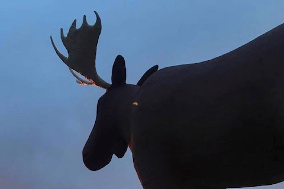 15399819_web1_190118-RDA-Moose-Jaw-wants-to-challenge-Norway-for-tallest-moose-statue-title_1