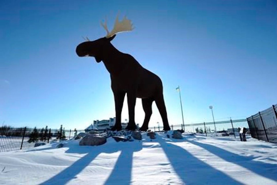 15734044_web1_190227-RDA-My-moose-is-bigger-than-your-moose-Norwegian-politician-to-visit-Saskatchewan_1