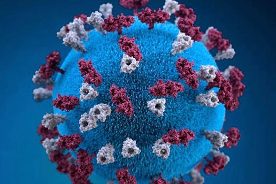 15752509_web1_190228-RDA-Two-more-measles-cases-in-Vancouver-area-bringing-total-to-15-infections_1