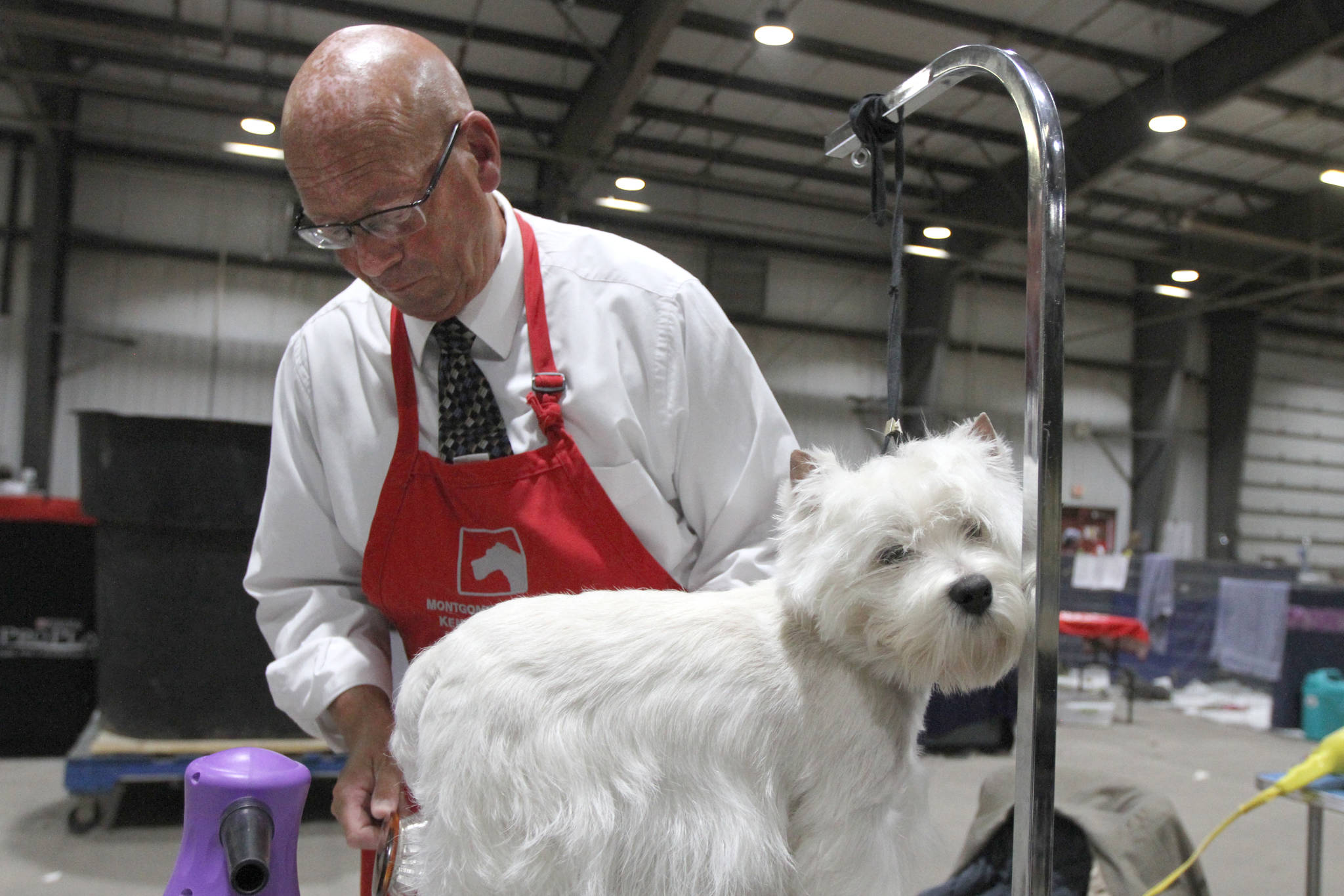 WATCH Dog Show fills Westerner Park in Red Deer Red Deer Advocate