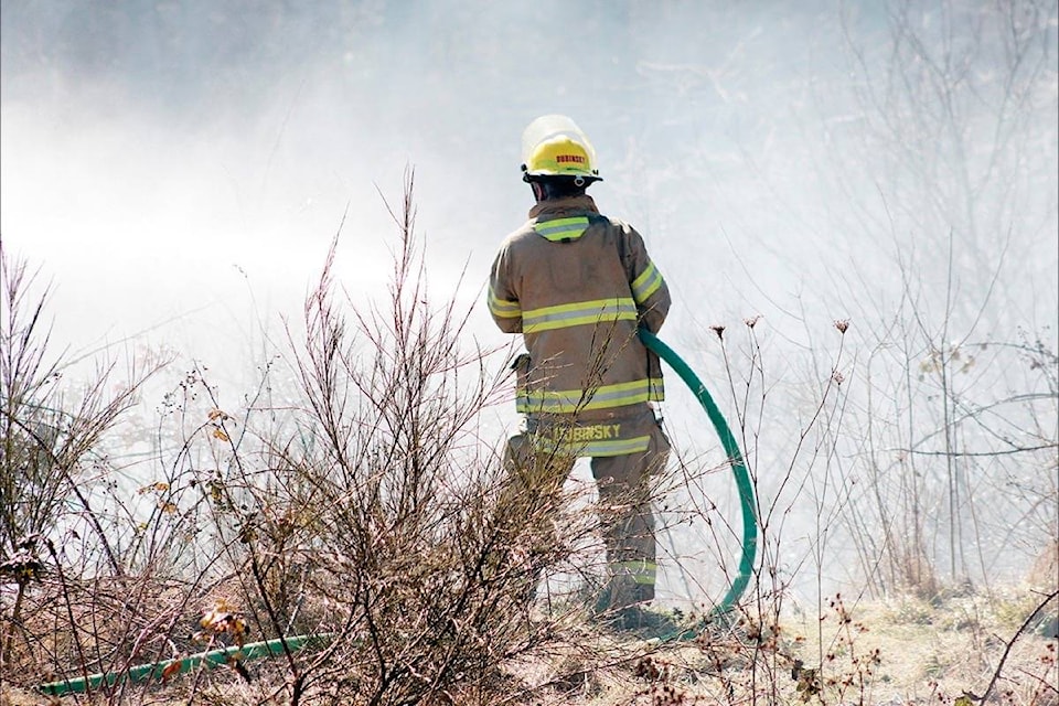 16316176_web1_190305-CCI-M-lemo-road-grass-fire