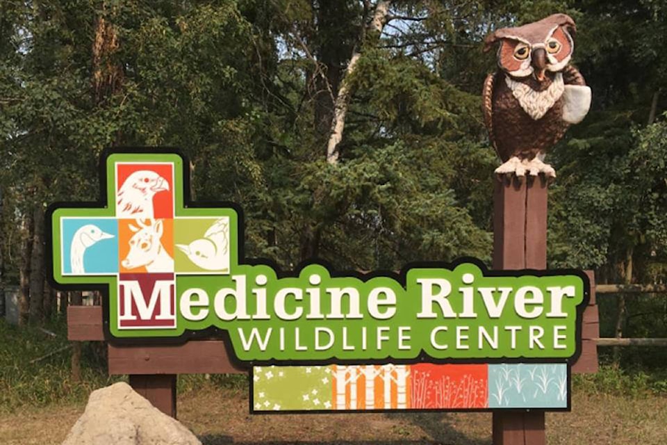 16656555_web1_190501-RDA-Medicine-River-Wildlife-Centre-break-in