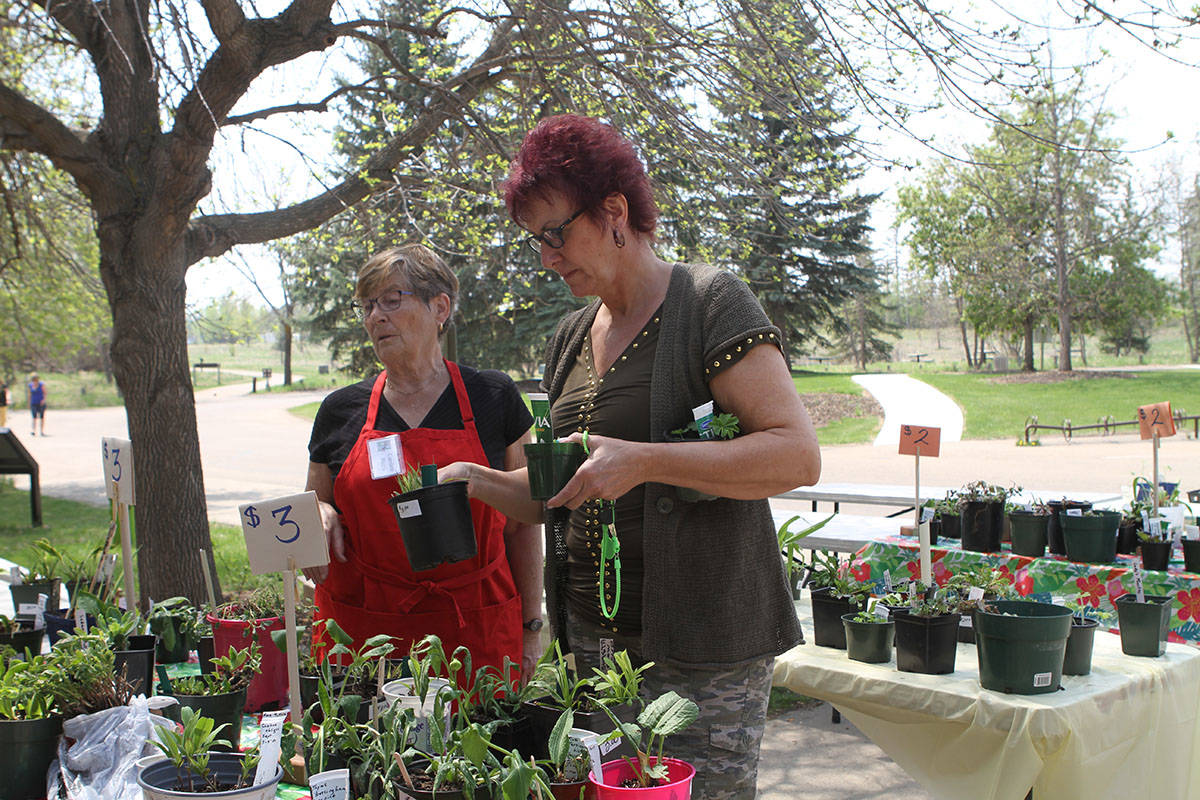 Red Deerians shop for exotic plants at spring plant sale Red Deer