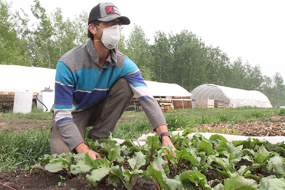 17092218_web1_190531-RDA-smoke-affecting-outdoor-workers-WEB