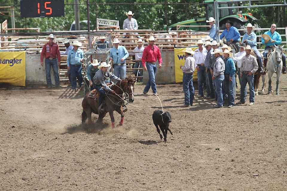 17311671_web1_190616-RDA-Innisfail-rodeo_2