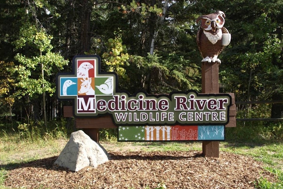 17357704_web1_190619-RDA-M-medicine-river-wildlife