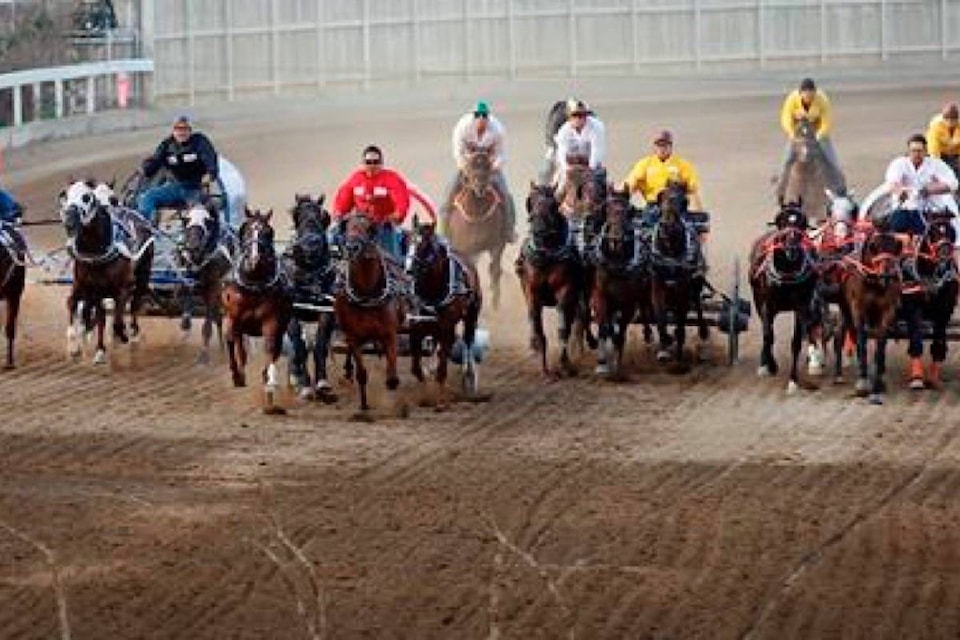 17676893_web1_190712-RDA-Third-horse-dies-at-Stampede-chuckwagon-races-driver-fined-suspended_1