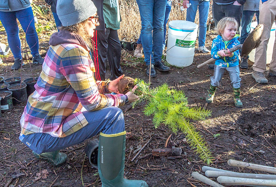 18627993_web1_Tree-planting_190126_099