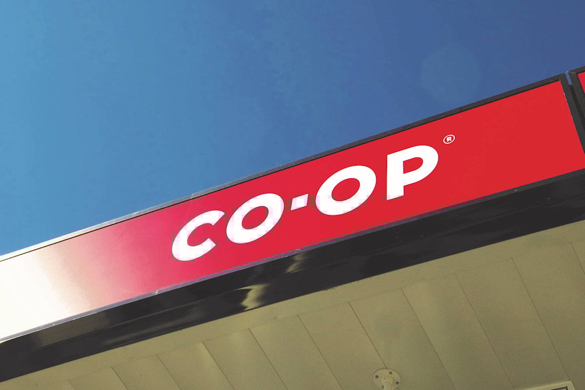 Timberlands coop best sale red deer