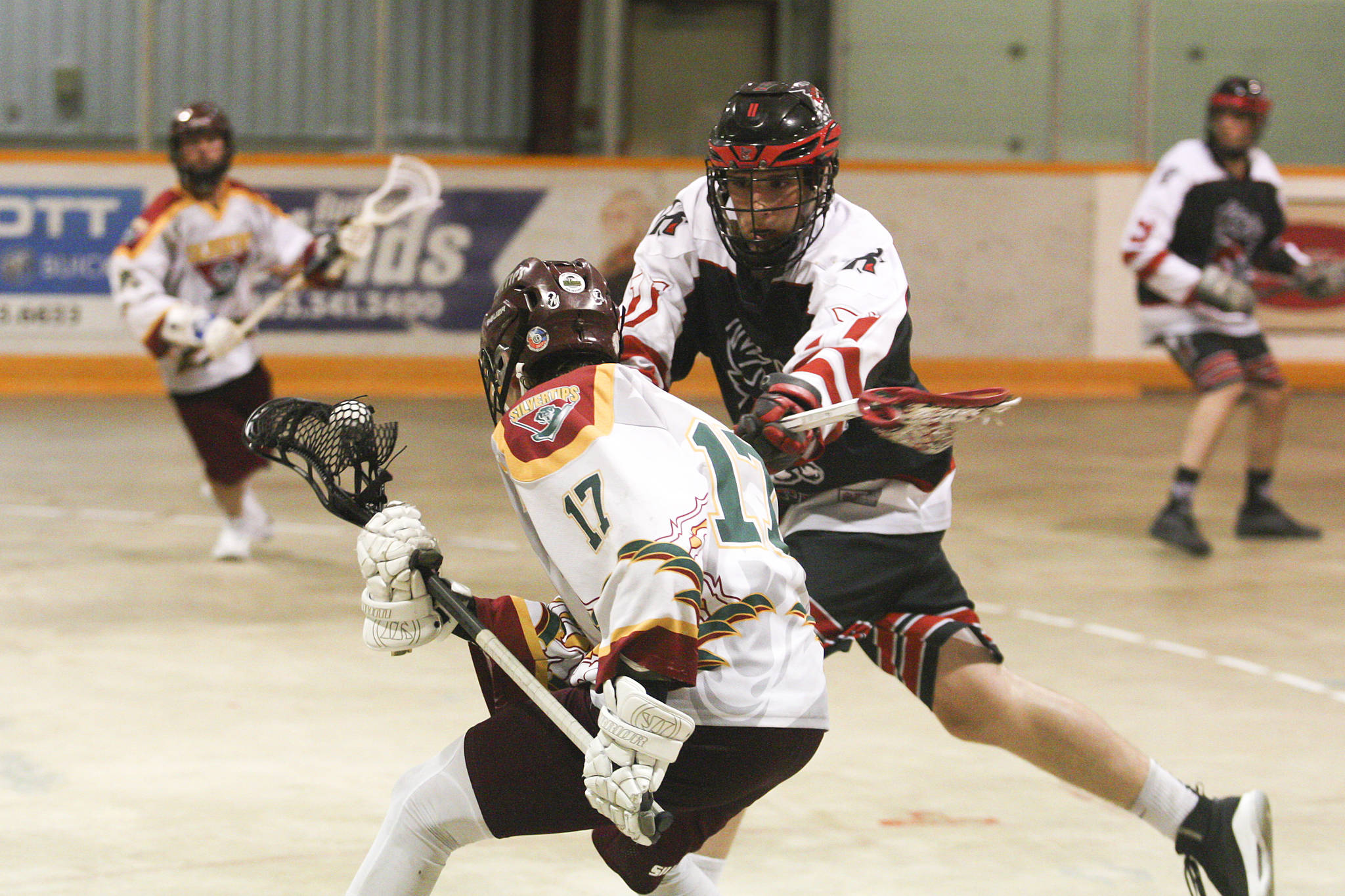 Rocky Mountain Lacrosse League shutters season Red Deer Advocate