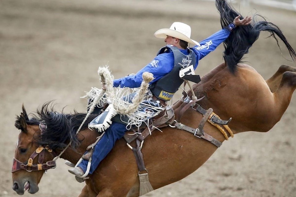 21885434_web1_200618-RDA-No-call-to-buck-rodeo-bulls-and-broncs-idled-by-COVID-19-pandemic-rodeos_1