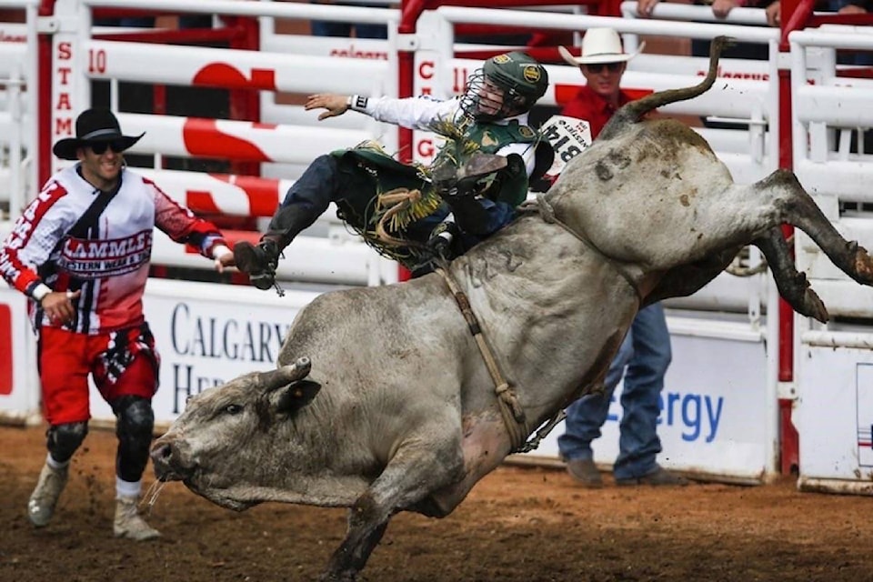 21894784_web1_200619-RDA-Mouths-to-feed-no-money-coming-in-rodeo-stock-contractors-feel-pandemic-pain-rodeo_1