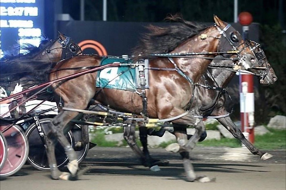 22810558_web1_200925-RDA-Canadian-driver-Gingras-looking-to-put-solid-finish-to-impressive-Mohawk-Park-run-sports_1