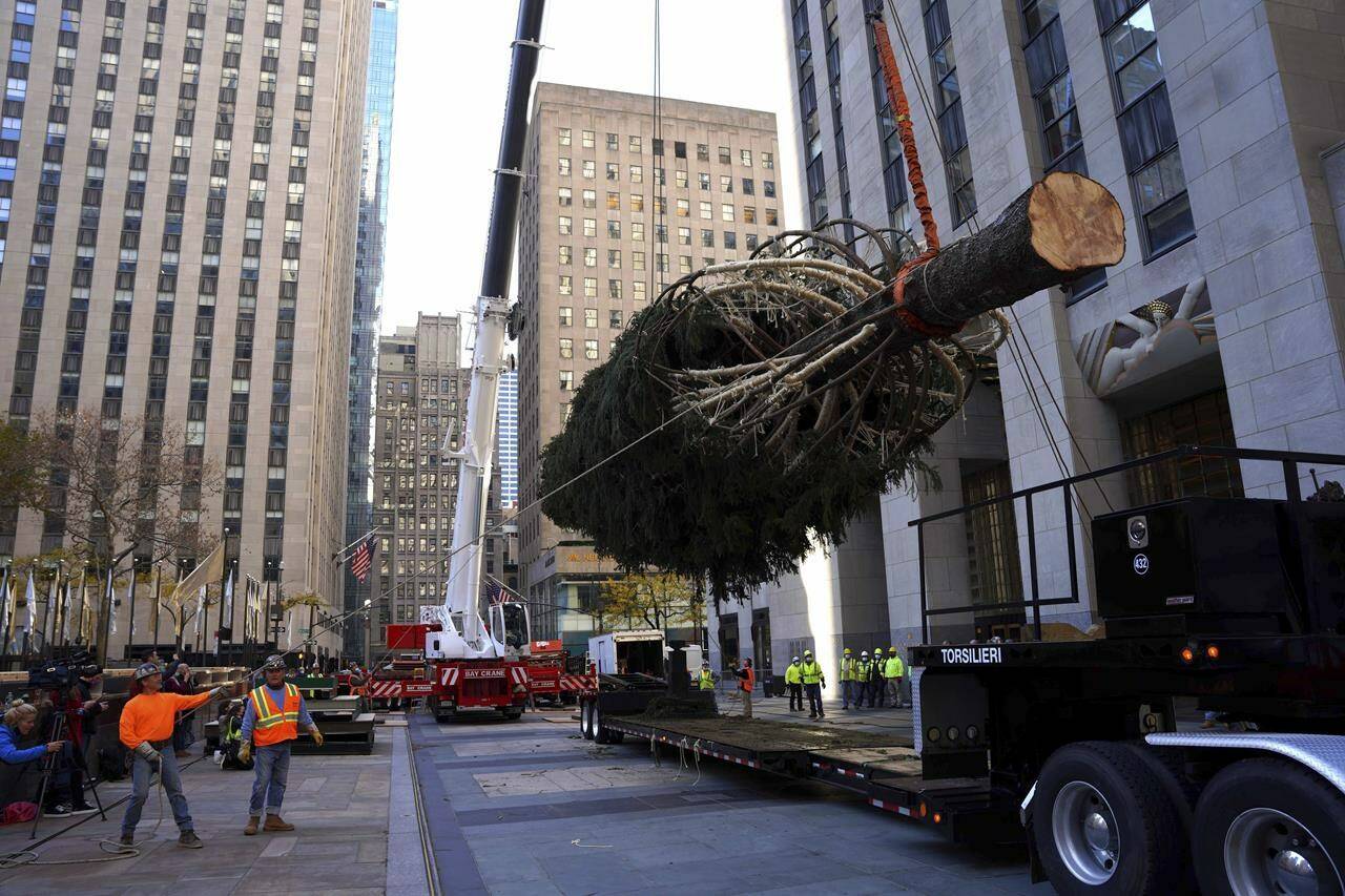 Rockefeller center christmas tree 2021 discount