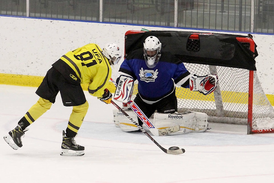 28223108_web1_220219-RDA-blind-hockey-challenge1-WEB