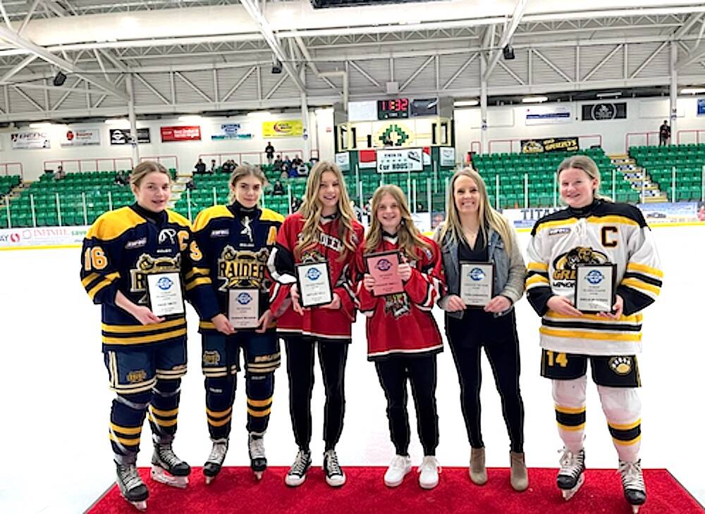 Central alberta discount hockey league
