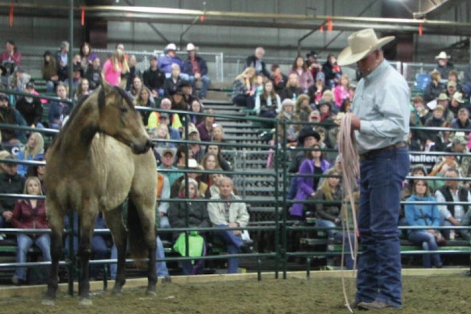 28687618_web1_220404-RDA-horse-expo-coming-to-red-deer-horse_2