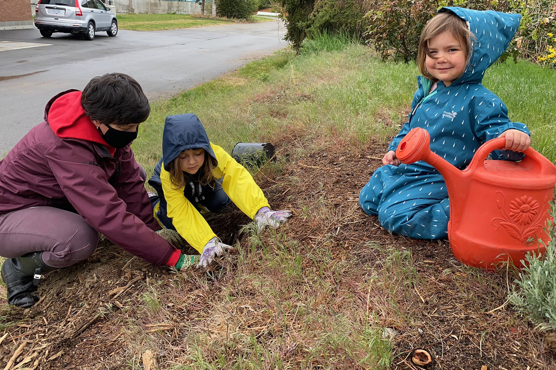 28881829_web1_210429-SUM-Planting-SUMMERLAND_1