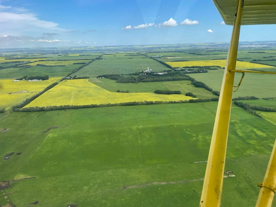 29870223_web1_220725-RDA-central-alberta-foodgrains-project-grain_1