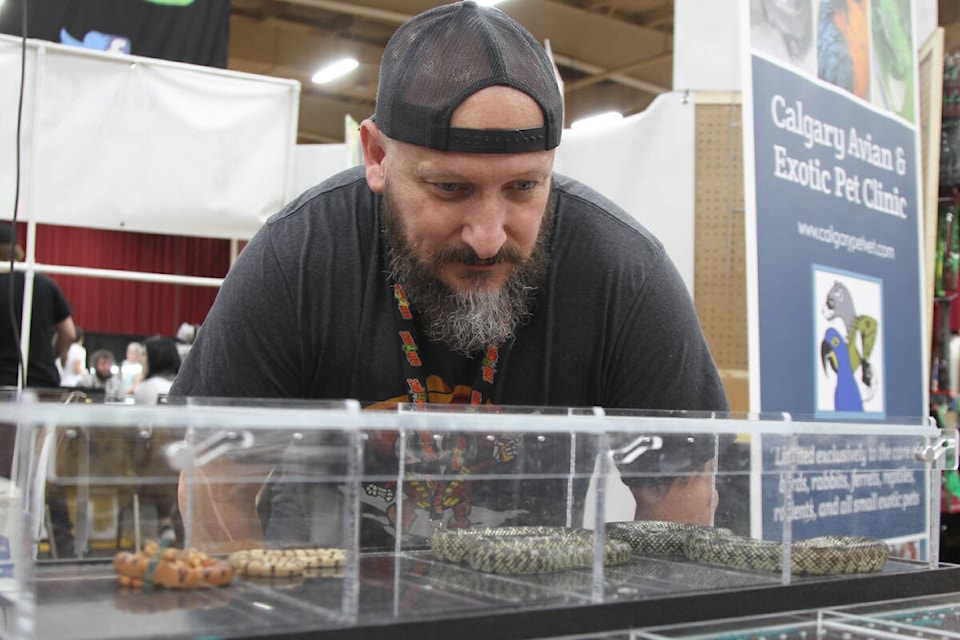 Western Canadian Reptile Expo returns to Red Deer Red Deer Advocate