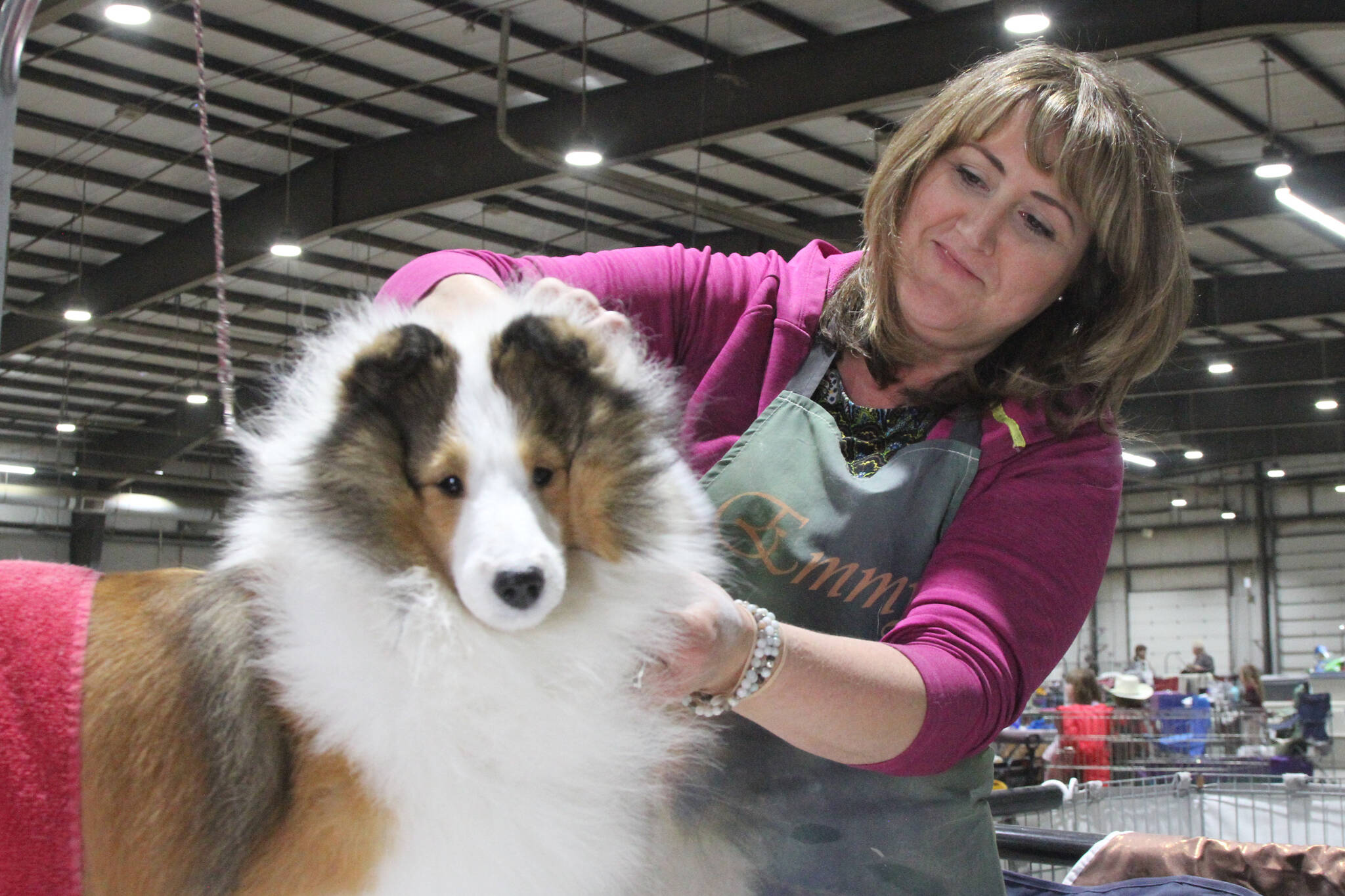 Red Deer and District Kennel Club hosts Fall Dog Show Red Deer Advocate